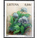 Wild Garlic (Allium ursinum) - Lithuania 2019 - 0.84