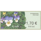 Wild pansy (Viola tricolor) - Åland Islands 2020 - 1.70