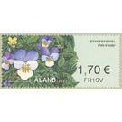 Wild pansy (Viola tricolor) - Åland Islands 2020 - 1.70