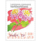 Wild Sage (Lantana camara) - Caribbean / Bonaire 2020 - 75