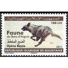 Wildlife of Arguin National Park : Hyena - West Africa / Mauritania 2011 - 100