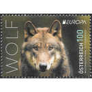 Wolf - Austria 2021 - 100