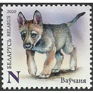 Wolf Cub - Belarus 2020