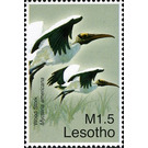 Wood Stork (Mycteria americana) - South Africa / Lesotho 2007 - 1.50