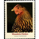 Wyandotte Chicken - United States of America 2021