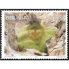 Yareta (Azorella compacta) - South America / Bolivia 2019 - 10.50
