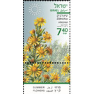 Yellow Fleabane (Dittrichia viscosa) - Israel 2020 - 7.40