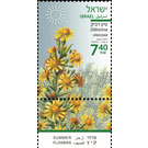 Yellow Fleabane (Dittrichia viscosa) - Israel 2020 - 7.40