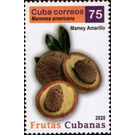 Yellow Mamey - Caribbean / Cuba 2020