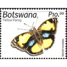 Yellow Pansy (Junonia hierta) - South Africa / Botswana 2019 - 10