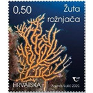 Yellow Sea Whip (Eunicella cavolini) - Croatia 2020 - 0.50