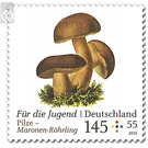 Youth: mushrooms  - Germany / Federal Republic of Germany 2018 - 145 Euro Cent
