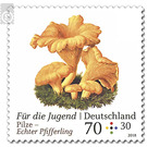 Youth: mushrooms  - Germany / Federal Republic of Germany 2018 - 70 Euro Cent