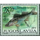 Zander (Stizostedion lucioperca) - Yugoslavia 2002 - 28.70