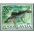 Zander (Stizostedion lucioperca) - Yugoslavia 2002 - 28.70