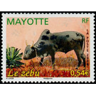Zebu (Bos primigenius indicus) - East Africa / Mayotte 2008 - 0.54