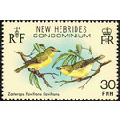 Zosterops flavifrons flavifrons - Melanesia / New Hebrides 1980 - 30