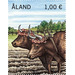 2 Oxen - Åland Islands 2020 - 1