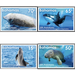 25th Anniversary of Bahamas Marine Mammal Research Org. - Caribbean / Bahamas 2019 Set