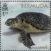 50th Anniversary of the Bermuda Turtle Project - North America / Bermuda 2018 - 1.15