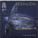 50th Anniversary of the Bermuda Turtle Project - North America / Bermuda 2018 - 1.55