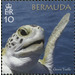 50th Anniversary of the Bermuda Turtle Project - North America / Bermuda 2018 - 10