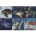 50th Anniversary of the Bermuda Turtle Project - North America / Bermuda 2018 Set