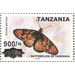 Acraea petraea - East Africa / Tanzania 2020 - 900