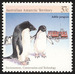 Adelie Penguin (Pygoscelis adeliae), Crawler Vehicle - Australian Antarctic Territory 1988 - 37