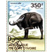 African Buffalo (Syncerus caffer) - West Africa / Ivory Coast 2014 - 350