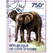 African Elephant (Loxodonta africana) - West Africa / Ivory Coast 2014 - 750