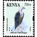 African Fish Eagle (Haliaeetus vocifer) - East Africa / Kenya 2014 - 70