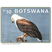 African Fish Eagle (Haliaeetus vocifer) - South Africa / Botswana 2021 - 10