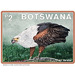 African Fish Eagle (Haliaeetus vocifer) - South Africa / Botswana 2021 - 2