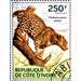 African Leopard (Panthera pardus pardus) - West Africa / Ivory Coast 2014 - 250