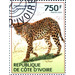 African Leopard (Panthera pardus pardus) - West Africa / Ivory Coast 2014 - 750