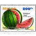 African Melon “Xaal” (Citrullus vulgaris) - West Africa / Senegal 2013 - 200