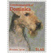 Airedale Terrier (Canis lupus familiaris) - Caribbean / Dominica 2013 - 1.45