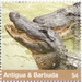 American Crocodile - Caribbean / Antigua and Barbuda 2020 - 4