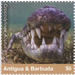 American Crocodile - Caribbean / Antigua and Barbuda 2020 - 6