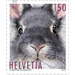 Animal friends - Rabbit  - Switzerland 2019 - 150 Rappen