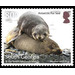 Antaractic Fur Seal : Mother With Pup - Falkland Islands, Dependencies 2018 - 80