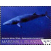 Antarctic minke whale - Micronesia / Marshall Islands 2020 - 1.50