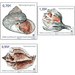 Antarctic Shell Species - French Australian and Antarctic Territories 2019 Set