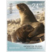 Arctocephalus gazella (The Antarctic fur seal) - Norway 2018 - 24