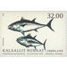 Atlantic Bluefin Tuna (Thunnus thynnus) - Greenland 2020 - 32