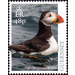 Atlantic Puffin (Fratercula arctica) - Guernsey 2019 - 48