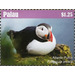 Atlantic Puffin    Fratercula arctica - Micronesia / Palau 2018 - 1.25