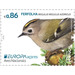 Azorean Goldcrest (Regulus regulus azoricus) - Portugal / Azores 2019 - 0.86