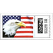 Bald Eagle (Haliaeetus leucocephalus) and Flag - United States of America 2009